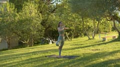 Комплекс в Кумбор №2442