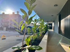 Квартира в Тиват №2425