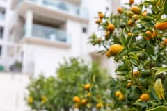 Вилла в Бечичи №2382