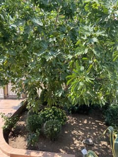 House in Dobra Voda No. 2152