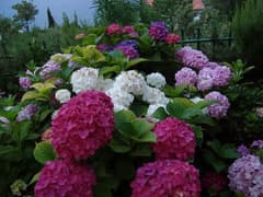 Дом в Крашичах №2119