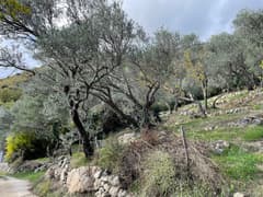 Участок в Каменари №1934