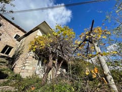 Участок в Каменари №1934