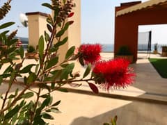 Stan u Dobrim Vodama br. 1825