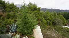 {"ru":"Вилла в Герцег-Нови №1716","en":null}