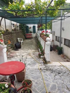 Мини-отель в Зеленике №1712