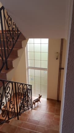 Дом в Шушани №1675