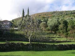 Участок с видом в Биеле №1663