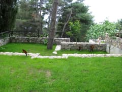 Вилла в Шушани №1652