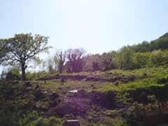 Земельный участок в Биеле №1631