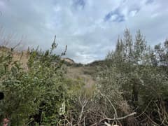 Участок в Герцег Нови №1519