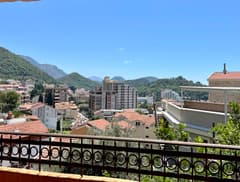 Duplex in Petrovac No. 2467