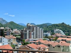 Duplex in Petrovac No. 2467