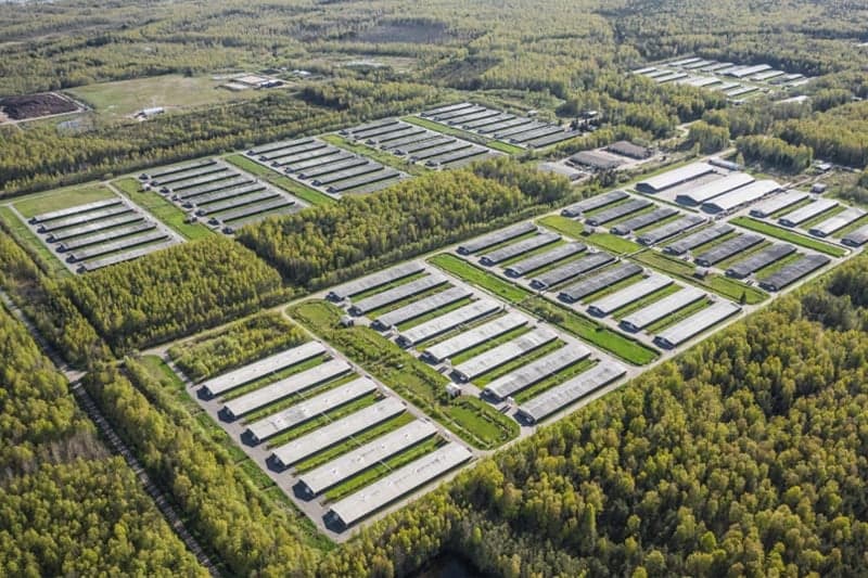 Czarnogóra uruchamia CGF z kapitałem 10 mln €: co to oznacza dla biznesu