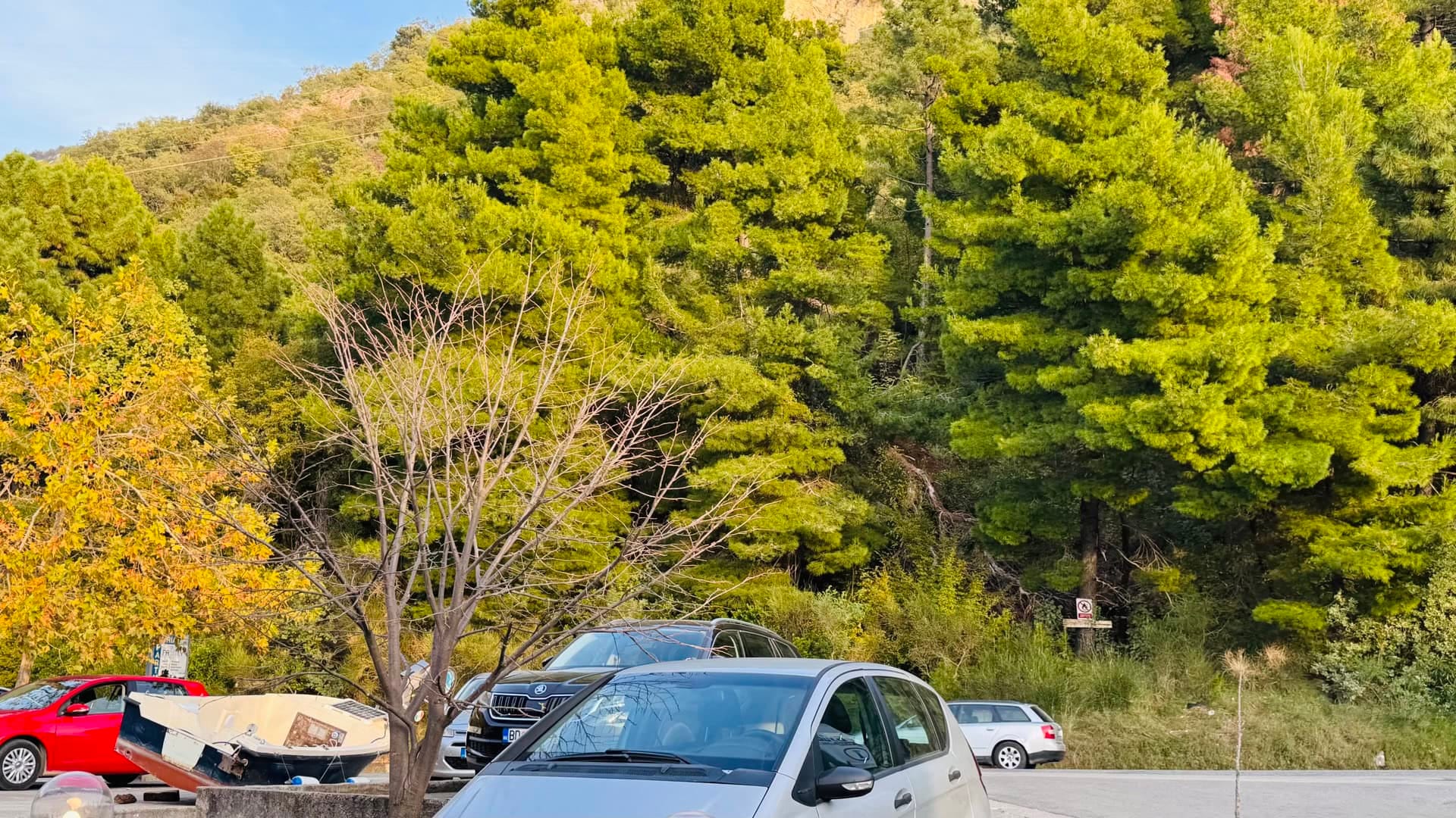 Pogled na parking i četinarsku šumu pored apartmana na letovalištu Sveti Stefan, Crna Gora.