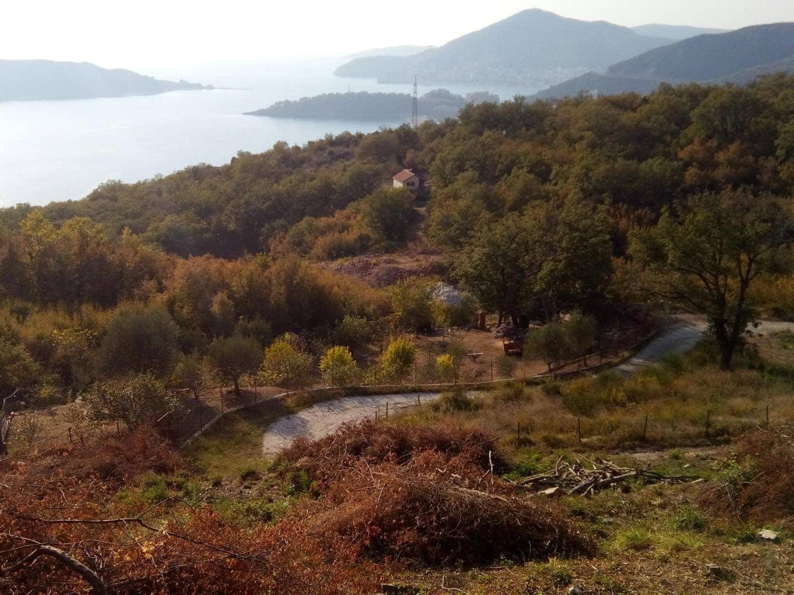 Građevinsko zemljište br. 2329 u Bečićima, Crna Gora: panoramski pogled na more, planine i šumovito područje sa pristupnim putem.