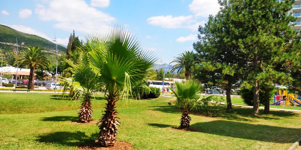 Spoljašnji pogled — Apartmani u Budvi