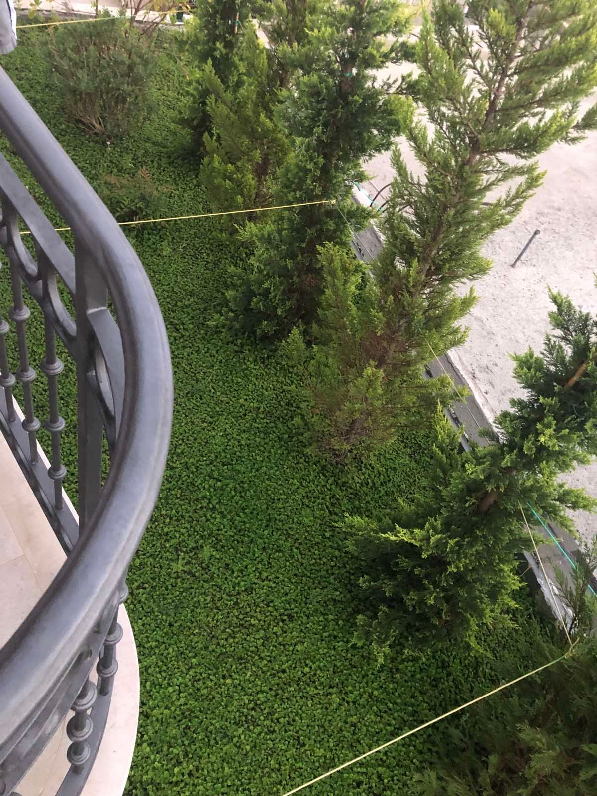 Vue depuis le balcon de l’appartement à Petrovac, Monténégro : garde-corps en fer forgé et jardin verdoyant bien entretenu avec des conifères.