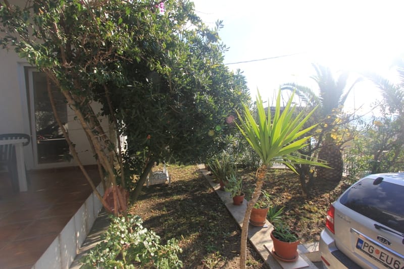 Green garden and house terrace in Shushan, Montenegro: view of the property grounds with plants and car parking.
