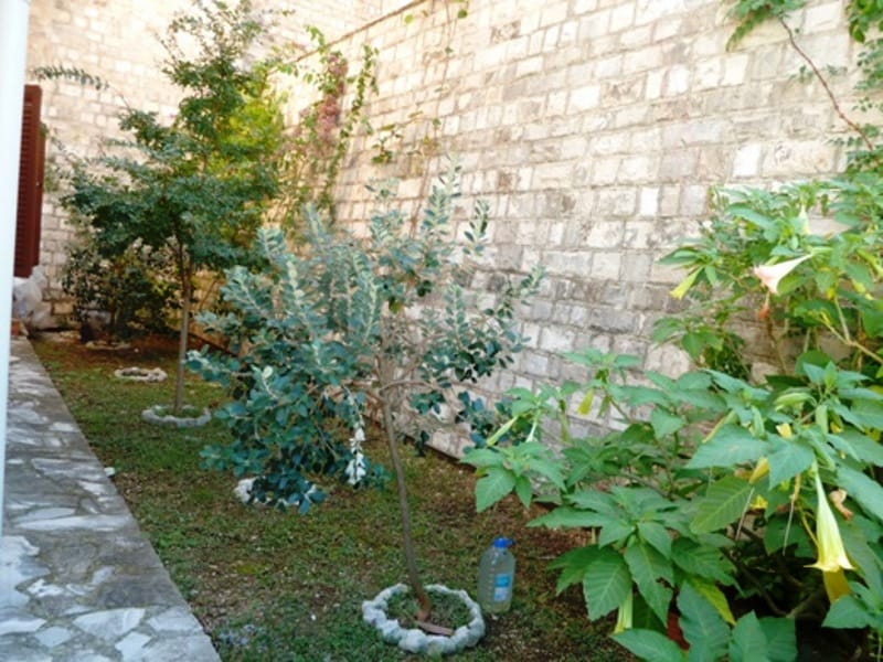 Cozy green courtyard with trees and a stone wall by the apartment in Risan, Montenegro.