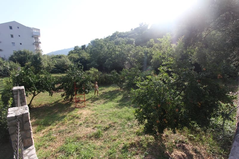 Zelena parcela sa voćkama i baštom u Budvi, Crna Gora, pogled na pripadajuće zemljište kuće.