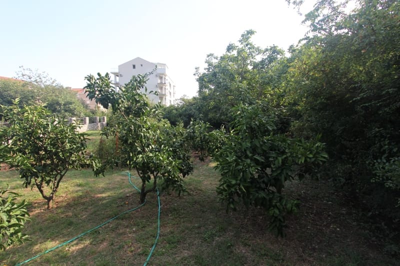 Zelena parcela sa voćkama i pogledom na stambenu kuću u Budvi, Crna Gora.