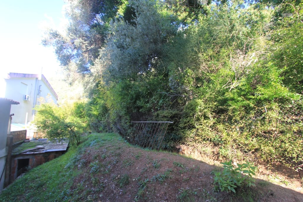 Land plot with dense greenery and trees in Petrovac, Montenegro, view of the adjacent area and building.