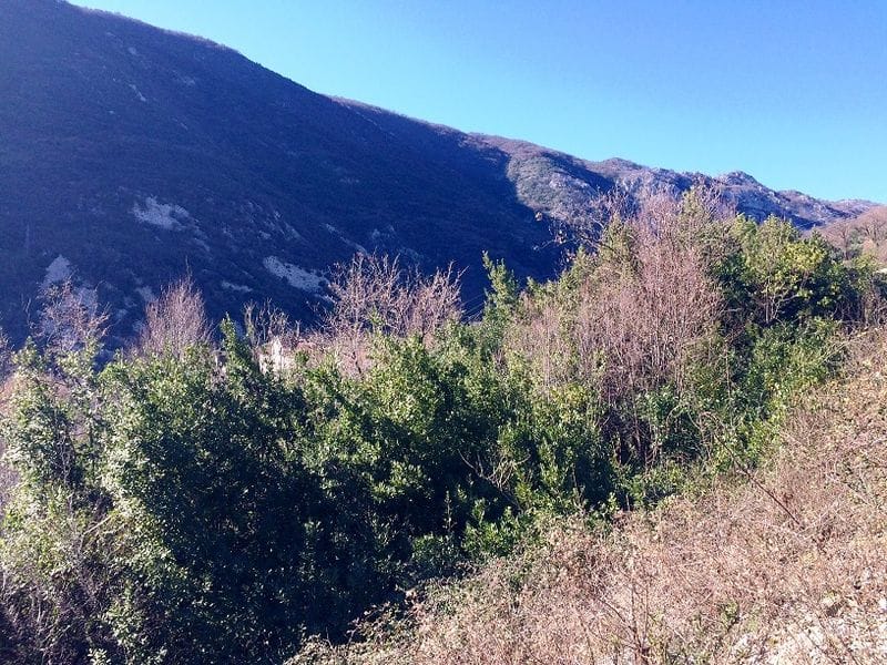 Slikovit pogled na planine i zelenilo sa zemljišne parcele u Morinju, Crna Gora.