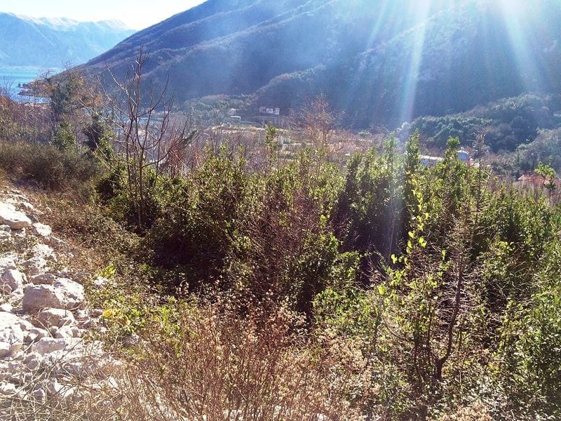 Građevinsko zemljište u Morinju, Crna Gora: panoramski pogled na planine i more sa prirodnim pejzažom i zelenilom.