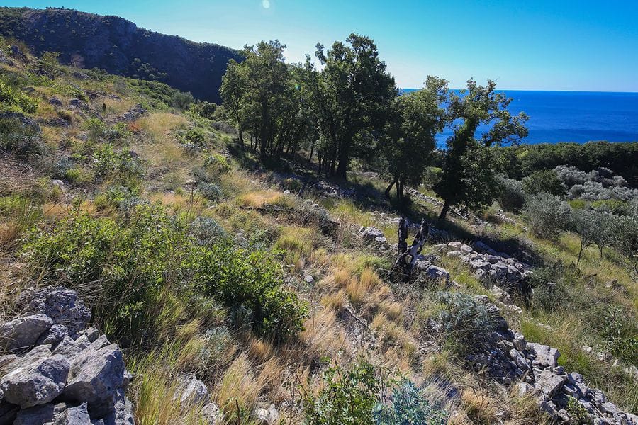 Građevinsko zemljište s panoramskim pogledom na more u Reževićima, Crna Gora: brdovit pejzaž sa drvećem i kamenjem.