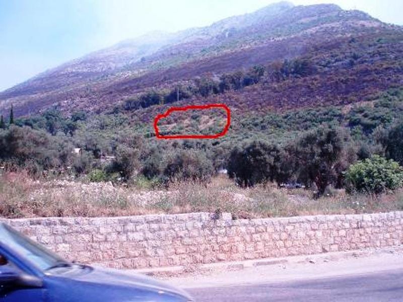 Građevinsko zemljište u Reževićima, Crna Gora: panoramski pogled na planinski obronak sa maslinama.