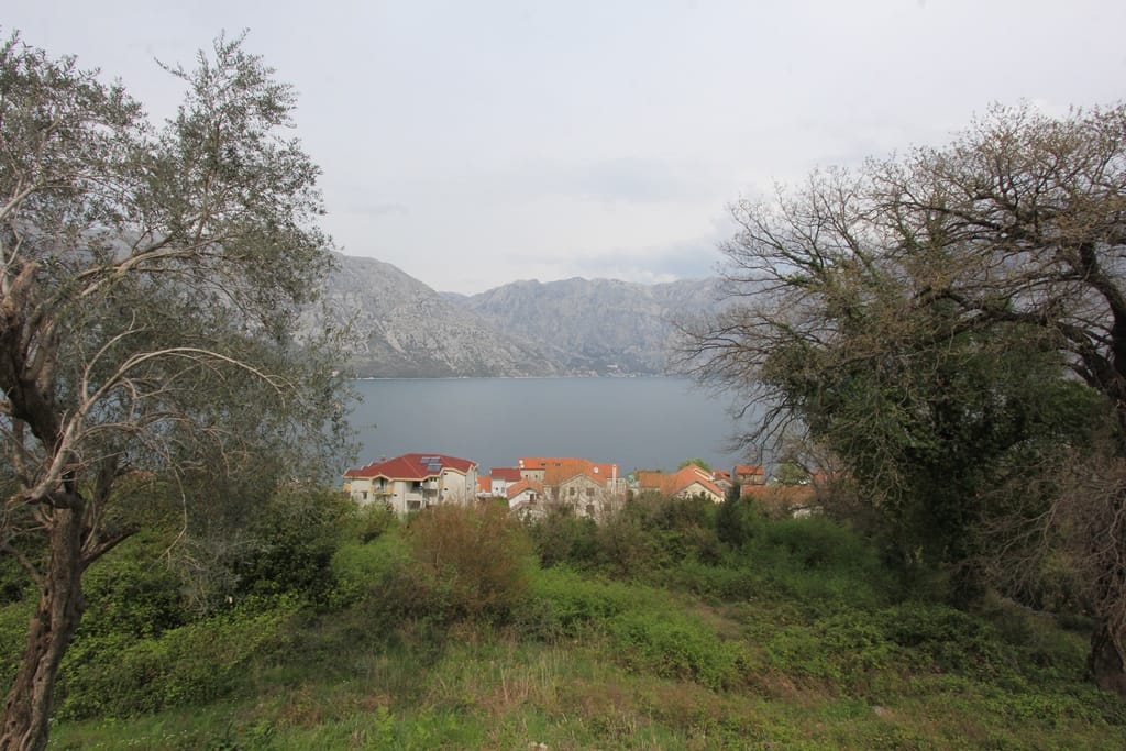 Panoramski pogled na Bokokotorski zaliv i planine iz kuće u Prčanju, Crna Gora, sa zelenim vrtom i maslinama.