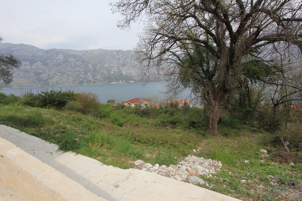 Pogled na Bokokotorski zaliv i planine sa placa kuće u Prčanju, Crna Gora: panoramski pejzaž sa drvećem i zelenilom.