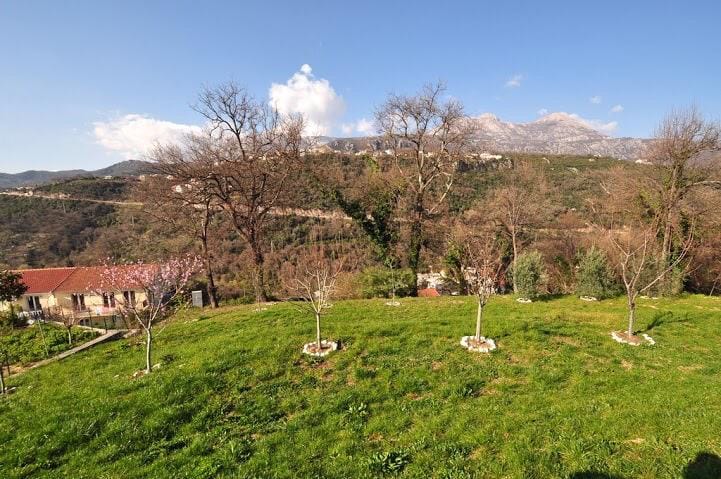 Zielona działka z ogrodem i panoramicznym widokiem na góry przy willi w Herceg Novi, Czarnogóra.