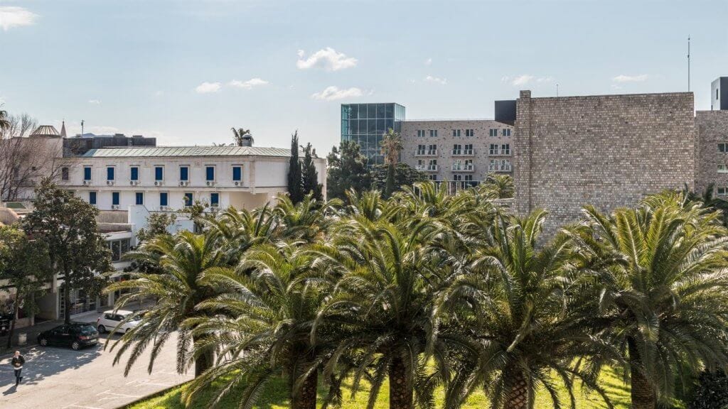 Pogled iz prozora stana u Budvi, Crna Gora: zelene palme, gradska arhitektura i sunčan dan.