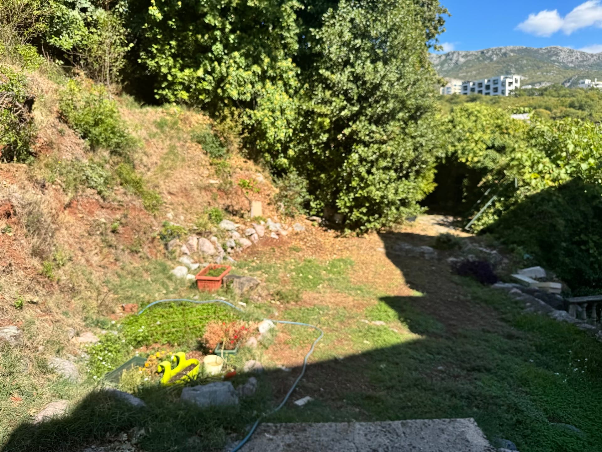Zelena okućnica sa baštom i pogledom na planine uz stan u Bečićima, Crna Gora.