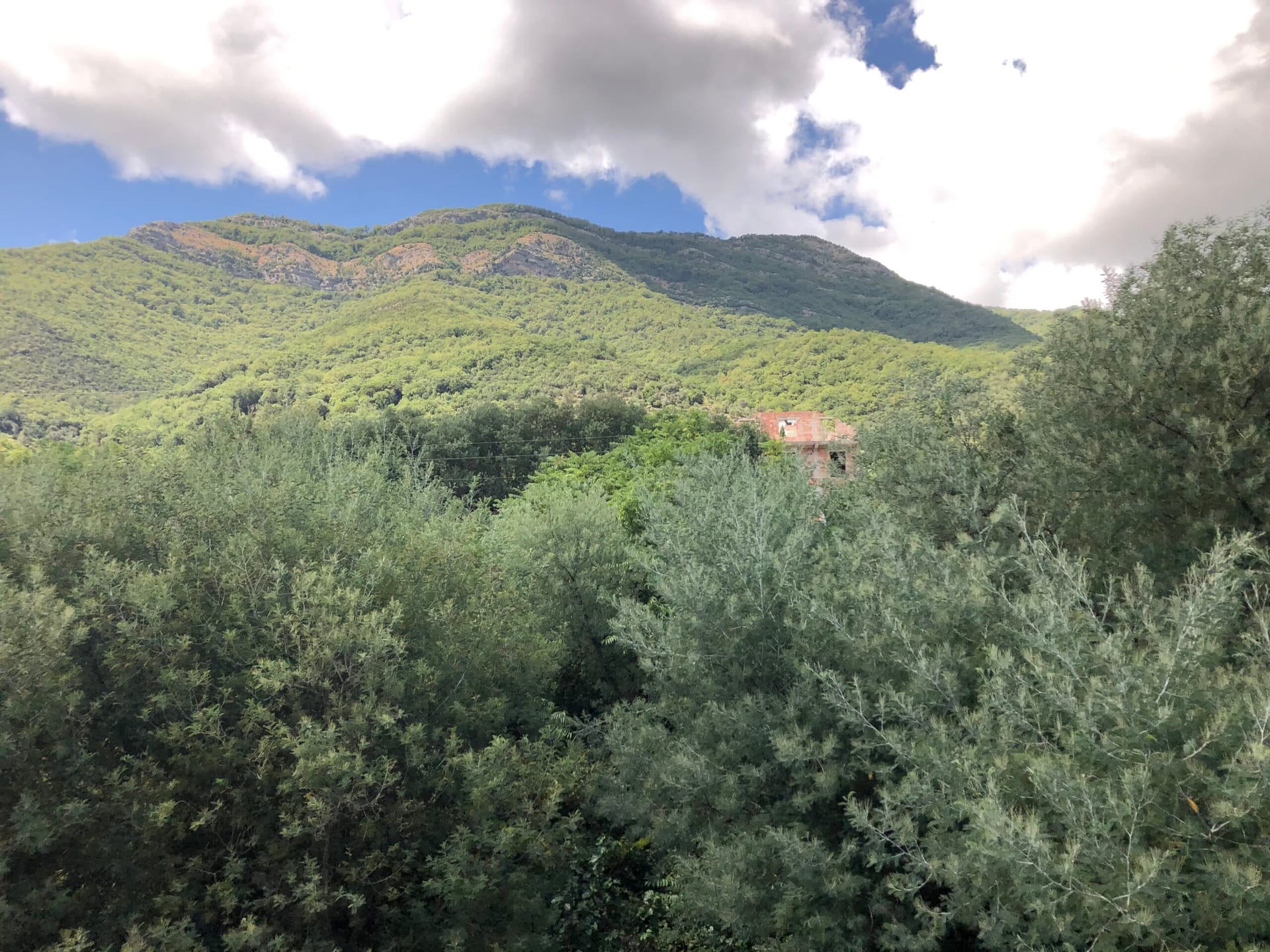 Picturesque view of green mountains and nature from an apartment in Baošići, Montenegro. Panorama of the mountain landscape.