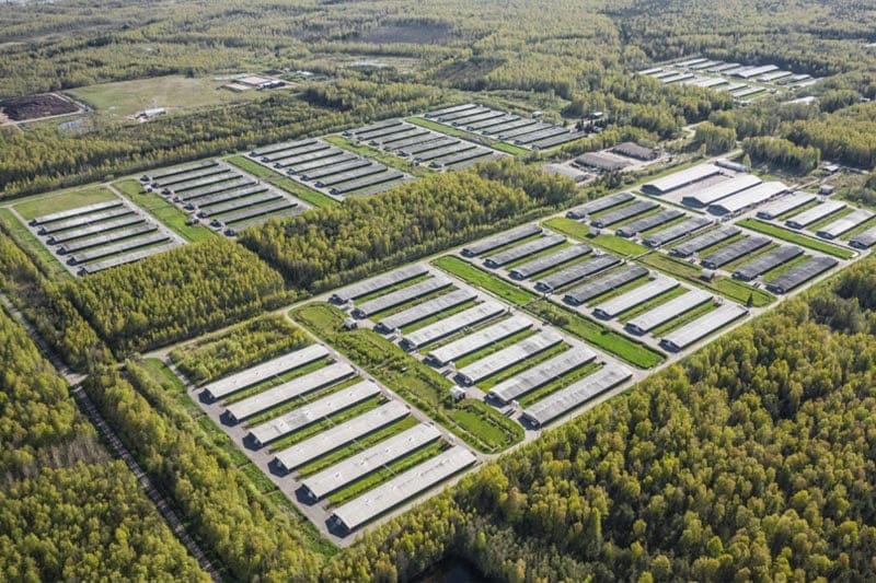 Черногория запускает CGF с капиталом 10 млн €: что это значит для бизнеса