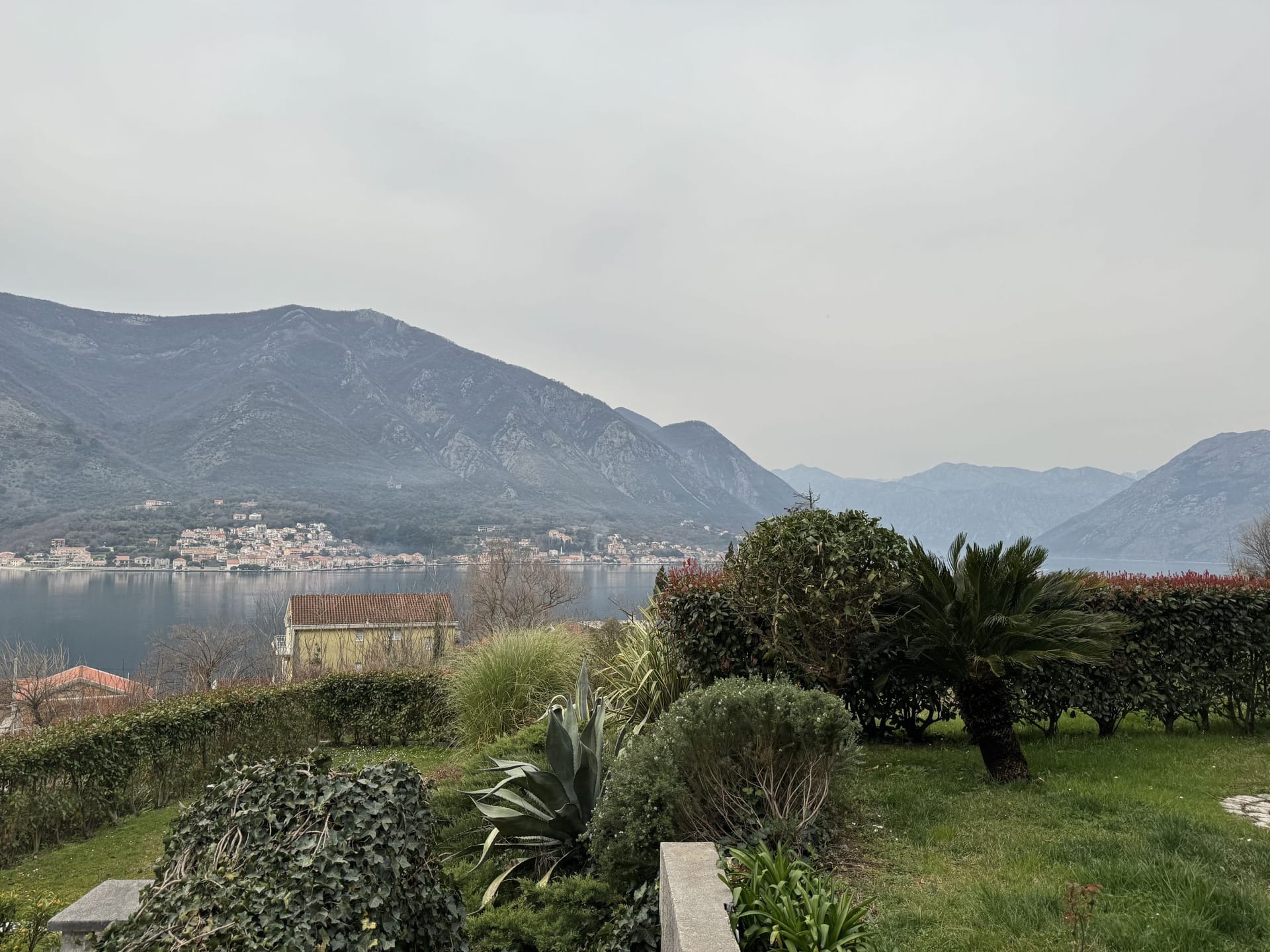 Panoramic view of Kotor Bay and the mountains from the garden in Dobrota, Montenegro, with greenery in the foreground.