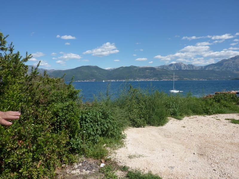 Panoramic view of the sea and mountains from a plot of land in the village of Krašići, Montenegro. Plot with access to the coast.