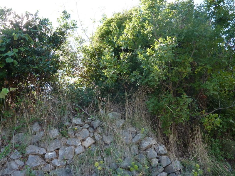 Land plot in Krašići, Montenegro: natural landscape with a stone retaining wall and dense greenery.