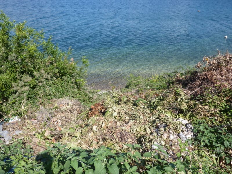 Sea and coastline view from a plot of land in Krašići, Montenegro: a coastal slope with vegetation.