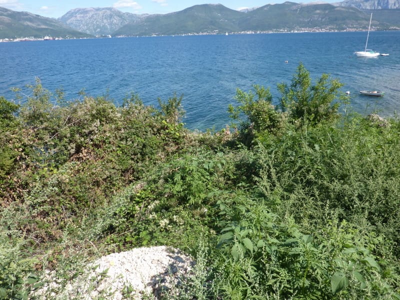 Land plot in Krašići, Montenegro: panoramic view of the sea, mountains, and yachts from the property.