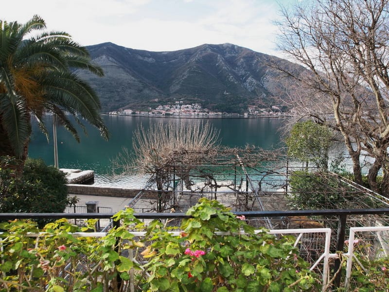 Vue depuis le balcon d’une maison à Dobrota, Monténégro : panorama de la baie de Kotor, montagnes, palmier et terrasse avec pergola pour la vigne.