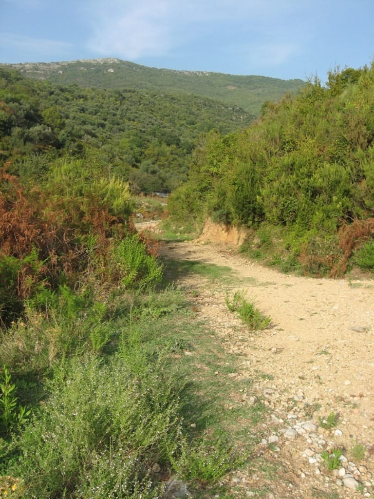 Land plot in Herceg Novi, Montenegro: a dirt road among hills covered with greenery and shrubs.