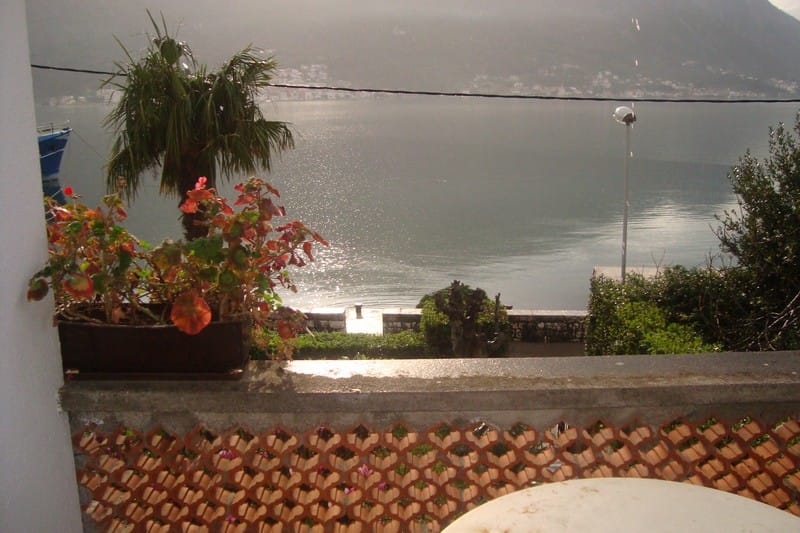 Vue depuis le balcon sur la mer et les montagnes dans une maison à Dobrota, Monténégro : terrasse avec des fleurs, un palmier et un panorama marin.
