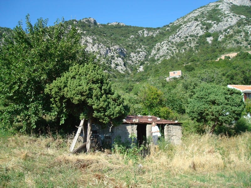 Grundstück in Buljarica, Montenegro: Blick auf ein altes Steingebäude und eine Berglandschaft mit dichter Vegetation.