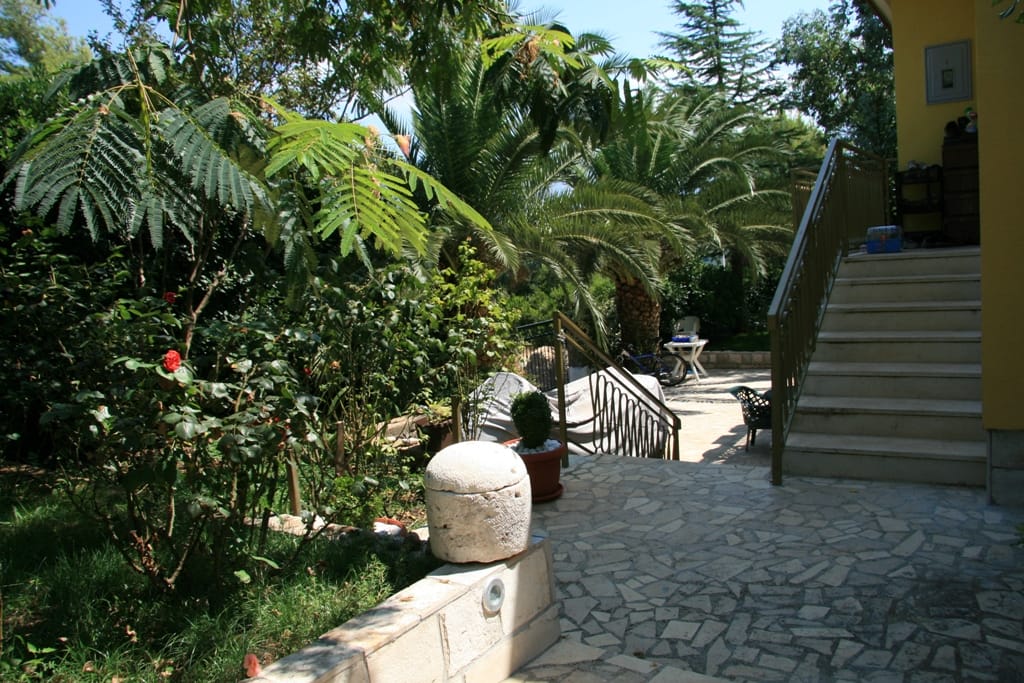 Terrasse chaleureuse avec maçonnerie en pierre et escalier, entourée de palmiers près de la maison à Radovici, Monténégro.