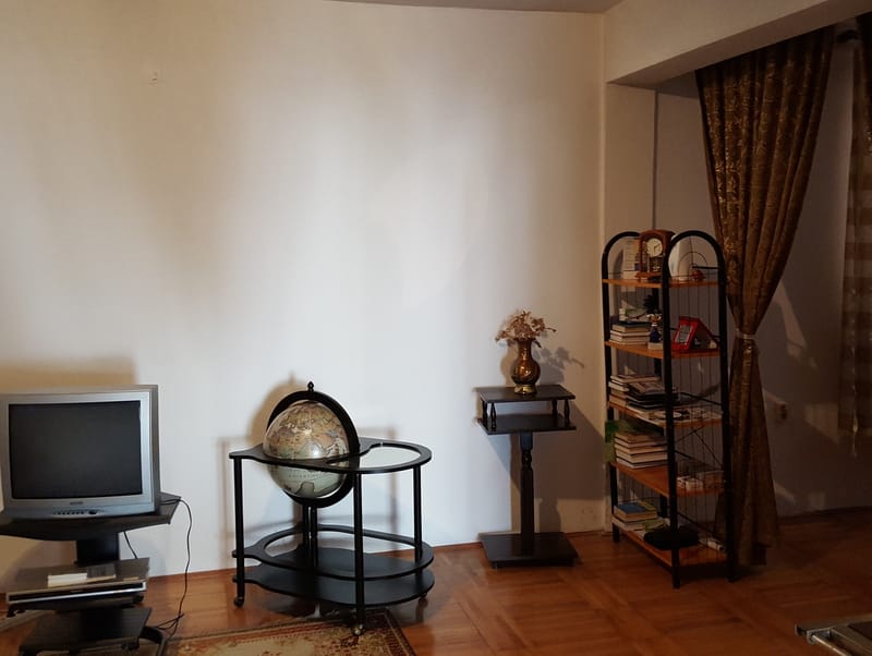 Dnevna soba u kući u Šušnju, Crna Gora: parket, vintage globus-bar, polica s knjigama i TV zona.