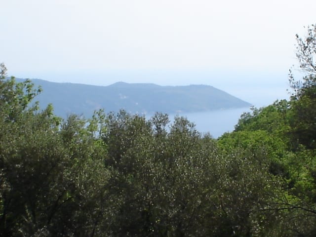 Panoramablick auf das Meer und die Berge von einem Grundstück in Herceg Novi, Montenegro, umgeben von dichter grüner Vegetation.